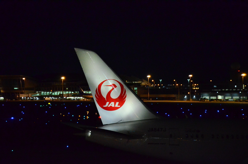 JAL 981