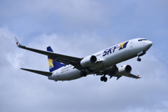 SKY 197