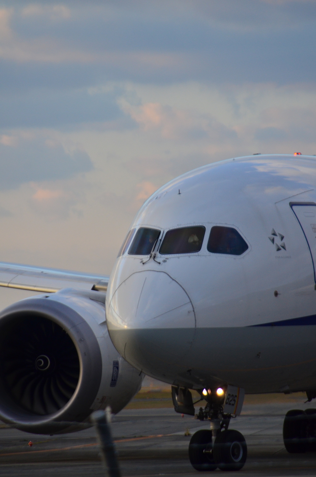 ANA 418