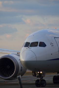 ANA 418