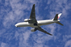 JAL 238