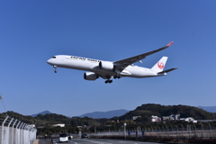 JAL 786
