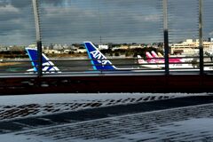 ANA 1158 「細雪」