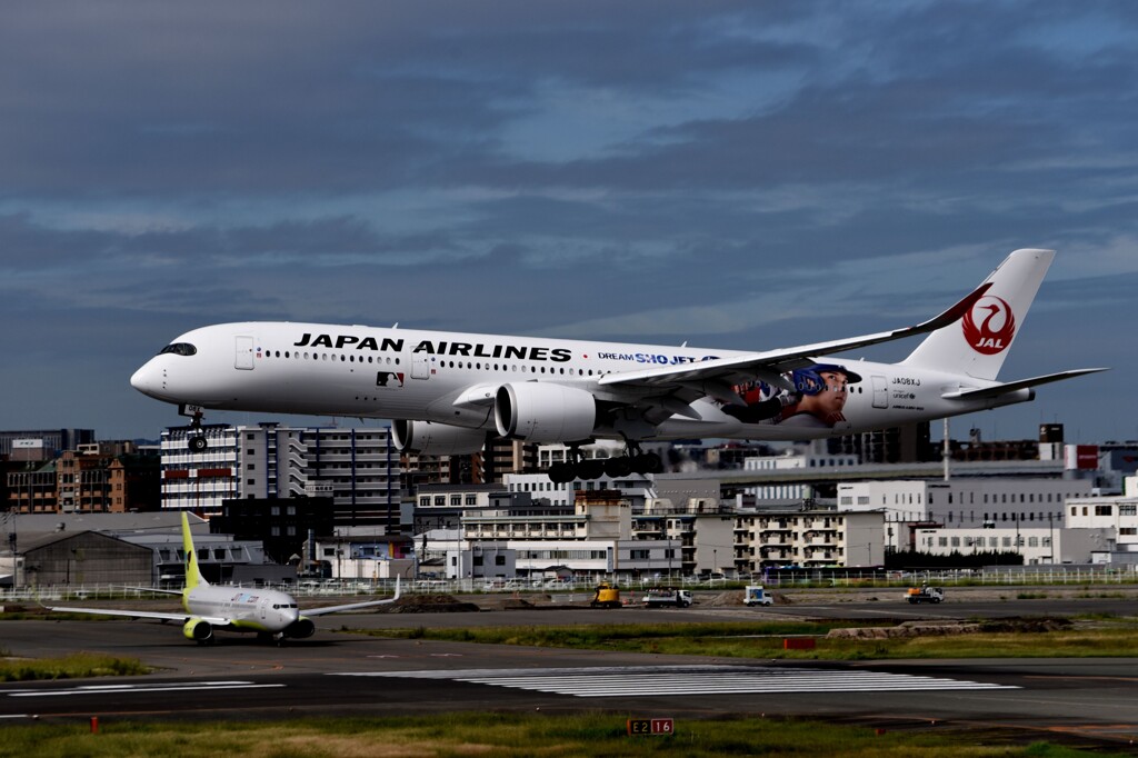 JAL 1295「DREAM　SHOJET」（大谷JET）