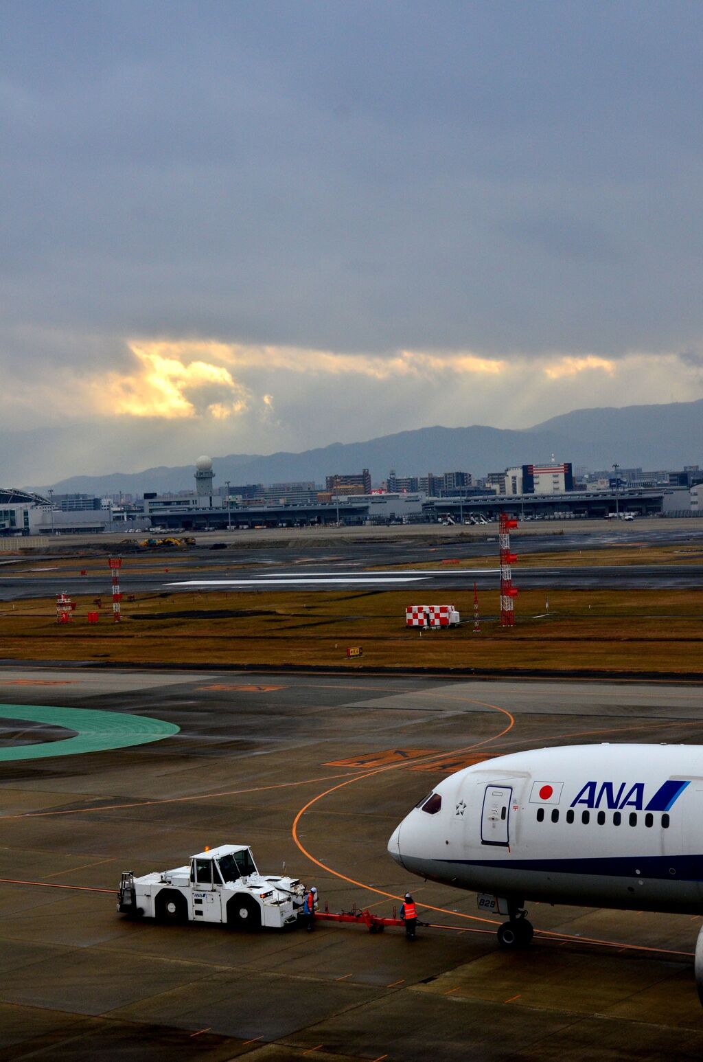 ANA 409