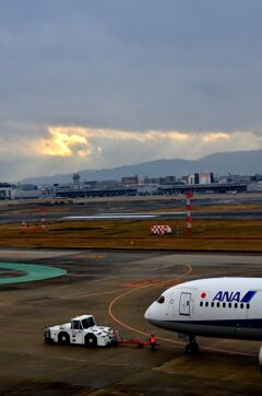 ANA 409