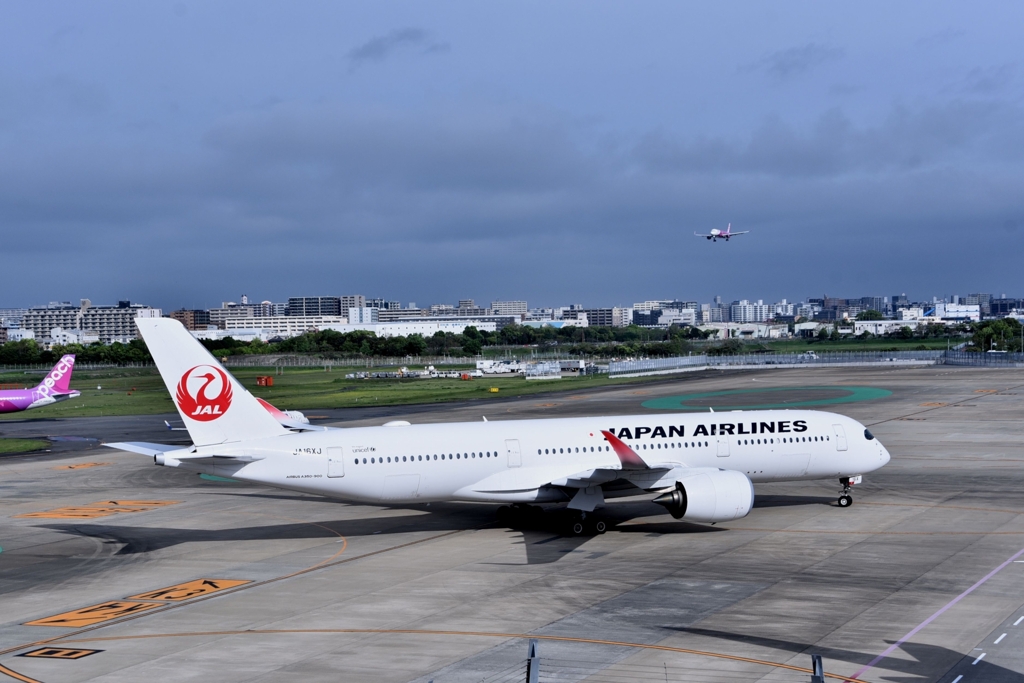 JAL 1134