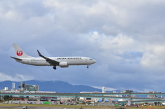JAL 374