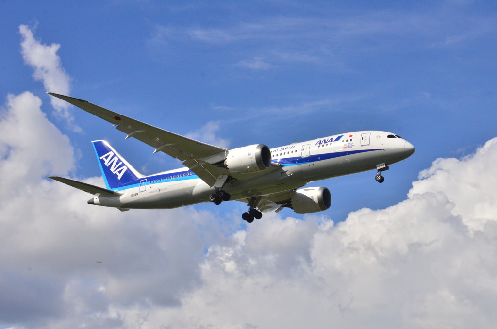 ANA 217