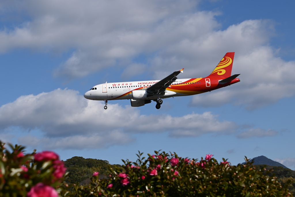 「わたしゃお樽とねてみたい」まだお正月気分ですから・・（＾＾；