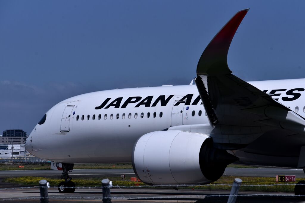 JAL1255