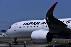 JAL1255