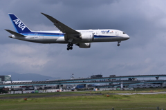 ANA 563