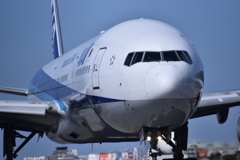 ANA 974