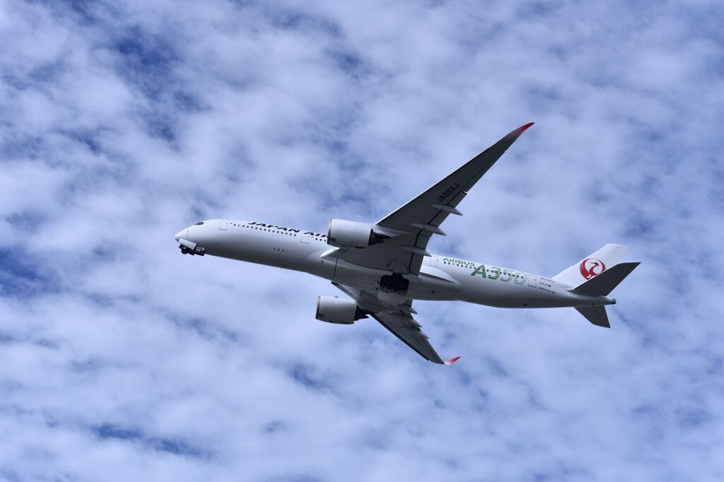 JAL 1046