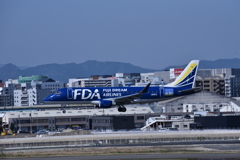 FDA 206