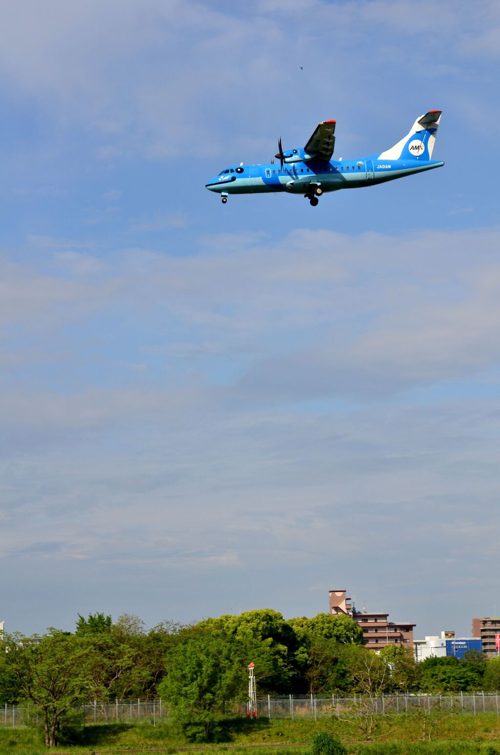 NO77        天草エアライン「みぞか号」3