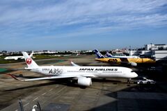 JAL 1139