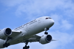 JAL 637