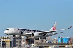 JAL 82
