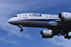 ANA 551