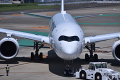 JAL 989