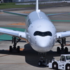 JAL 989