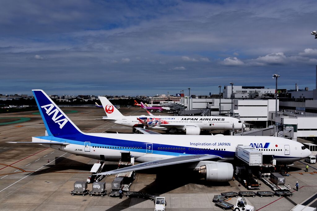 ANA 1124