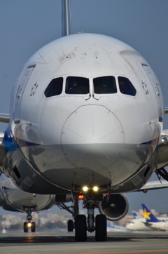 ANA 491