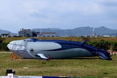 らんだむ。らんだむ。ラン！ラン！ラン！その百四十七「くじらバルーン」