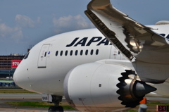 JAL 568