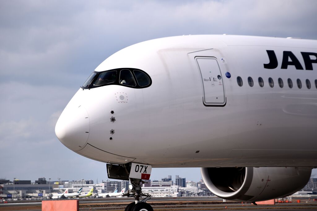 JAL 1333 「人の道」その五