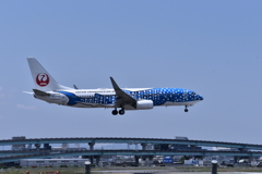 JAL 594