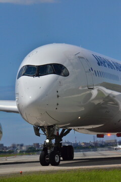 JAL 262