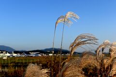 「福岡空港2025秋」