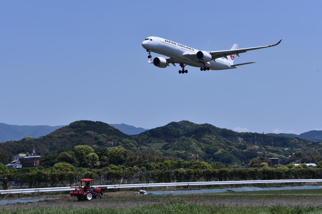 JAL 589
