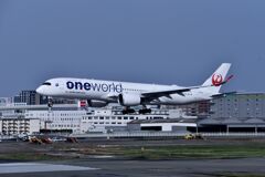 JAL 901