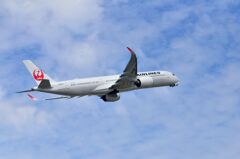 JAL 497