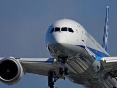 ANA 1291