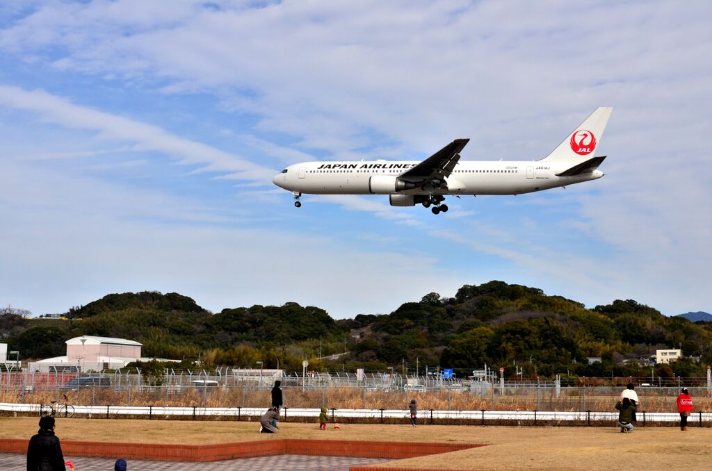 JAL 466