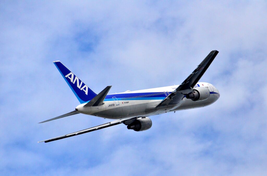 ANA 767