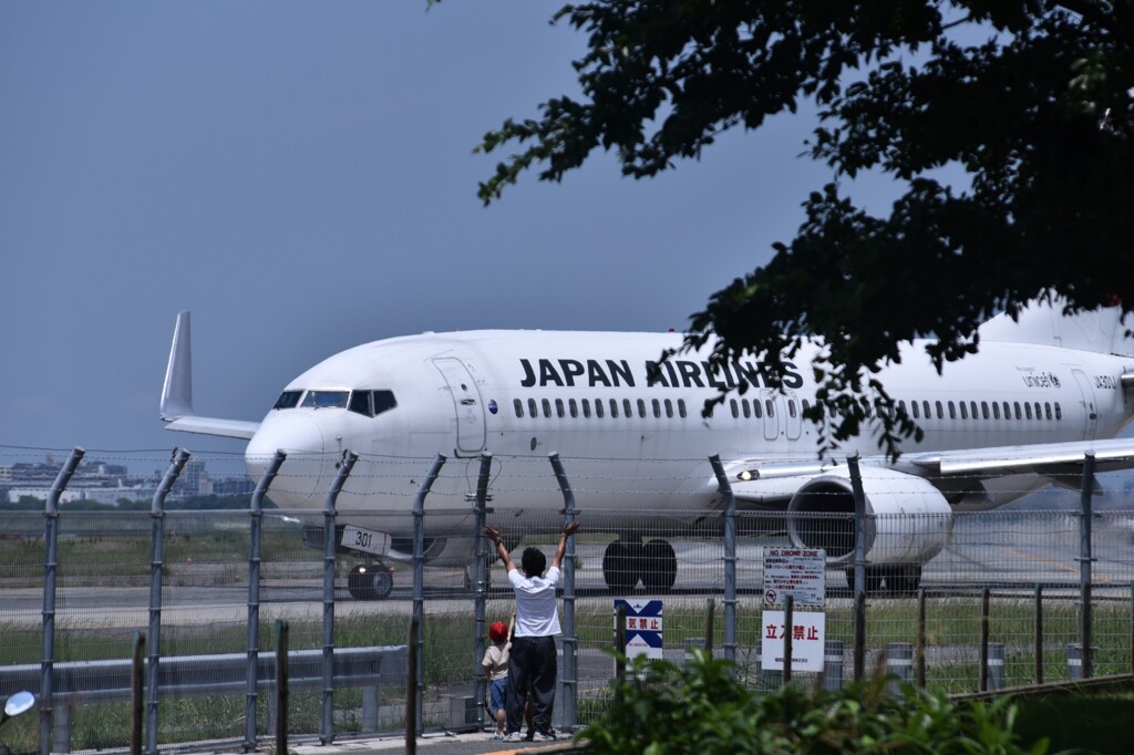 JAL 715