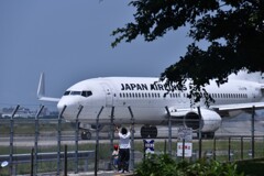 JAL 715