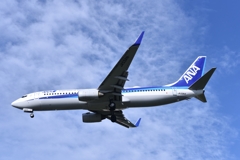 ANA 559