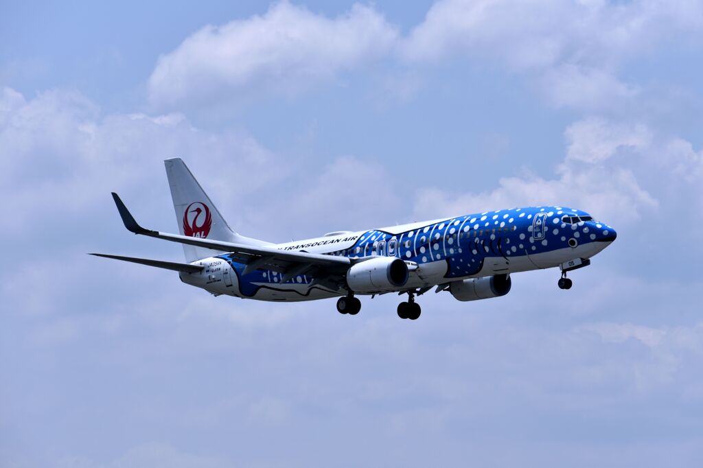 JAL 598