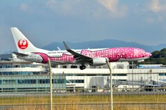 JAL 390