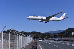 JAL 1195
