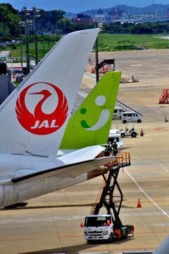 JAL 837