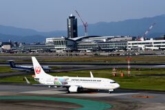 JAL 1191