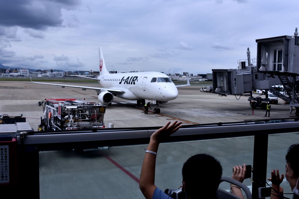 JAL 1060